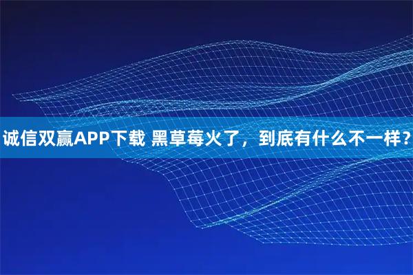 诚信双赢APP下载 黑草莓火了，到底有什么不一样？