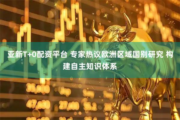 亚新T+0配资平台 专家热议欧洲区域国别研究 构建自主知识体系