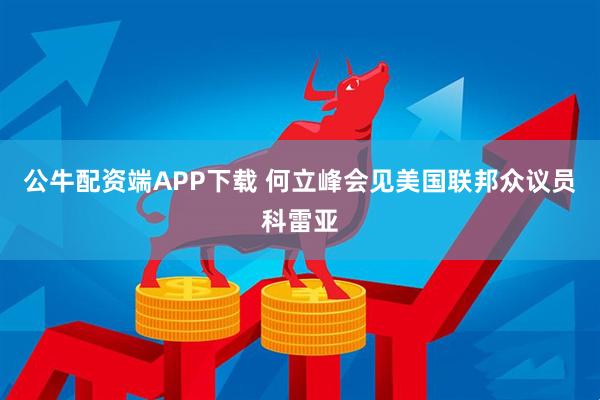 公牛配资端APP下载 何立峰会见美国联邦众议员科雷亚